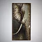 3D metal art Elephant, 75x150cm