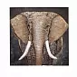 3D metalen wandkunst, Afrikaanse savanne-olifant met lange slagtanden, formaat 85 cm x 85 cm