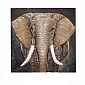 Art mural metàl·lic 3D, elefant de la sabana africana amb ullals llargs, mida 85 cm x 85 cm