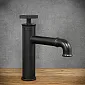 Rubinetto monogetto stile industriale in ottone, colore nero, altezza 20 cm, lunghezza bocca 13,5 cm