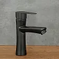 Stainless steel faucet, height 18 cm, spout length 10.5 cm, black color, matte