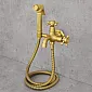 Antik Messing Bidetkran, Start-Stopp Duschhandstéck & Waasserspuerend Aerator