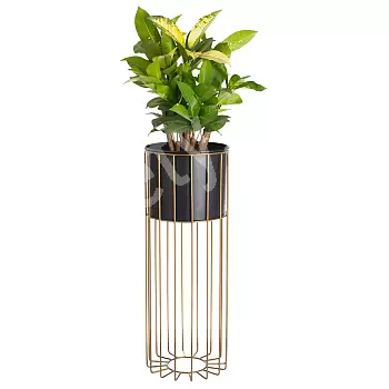 Metal entworf Blummenpot aus Staang gëllen Faarf a schwaarz Faarf Eemer, Breet 20 cm Héicht 55 cm