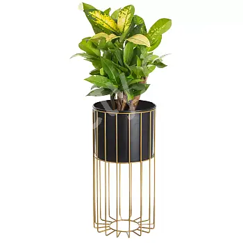 Metalldesignad blomkruka gjord av stålstänger gyllene färg och plastkorg svart färg, bredd 20 cm, höjd 46 cm