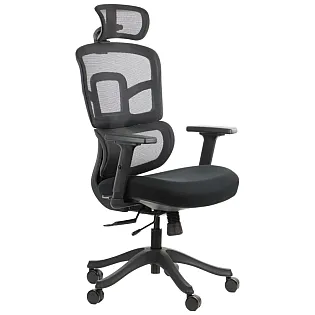 Ergonomska uredska stolica s bazom od crnog najlona, naslon za leđa presvučen mrežom, lumbalni oslonac
