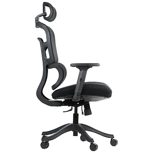Ergonomska uredska stolica s bazom od crnog najlona, naslon za leđa presvučen mrežom, lumbalni oslonac