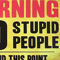 Koristeellinen seinälevy, NO STUPID PPL, 30x20 cm
