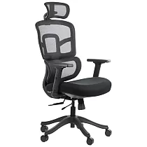 Ergonomisks biroja krēsls ar melnu neilona pamatni, atzveltne polsterēta ar sietu, jostasvietas atbalsts