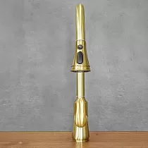 Torneira em aço inoxidável, bica extraível, altura 46 cm, comprimento da bica 17,5 cm, cor Latão Antigo