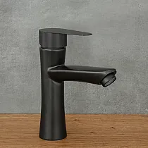 Kraan van roestvrij staal, hoogte 18 cm, uitlooplengte 10,5 cm, kleur zwart, mat